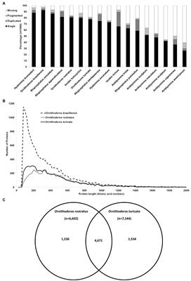 Transcriptomic Analysis of Salivary Glands of Ornithodoros brasiliensis Aragão, 1923, the Agent of a Neotropical Tick-Toxicosis Syndrome in Humans